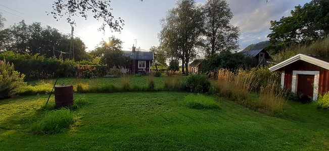 20190819_191239.jpg