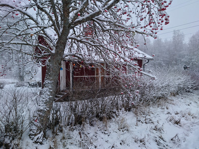 20211128_144945.JPG