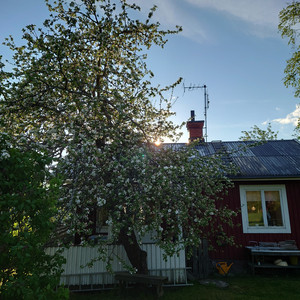 20220530_194513.JPG