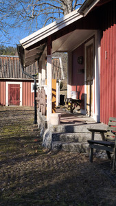 IMG_20260412_173637.jpg